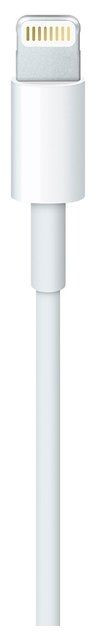 Кабель Apple USB - Lightning (MD819ZM/A) 2 м | Фото 2 из 4