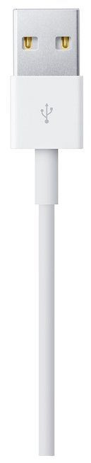 Кабель Apple USB - Lightning (MD819ZM/A) 2 м | Фото 3 из 4