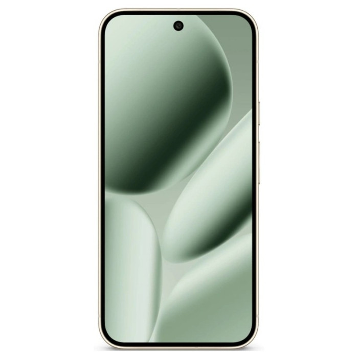 Смартфон Google Pixel 10 Pro XL 16/256GB  Нефрит (Jade) | Фото 2 из 3